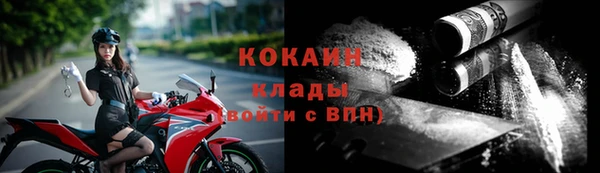 амф Новозыбков