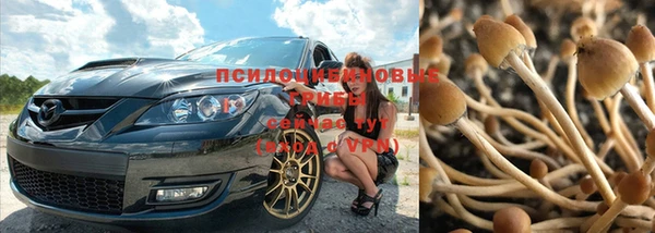 круглые Аркадак
