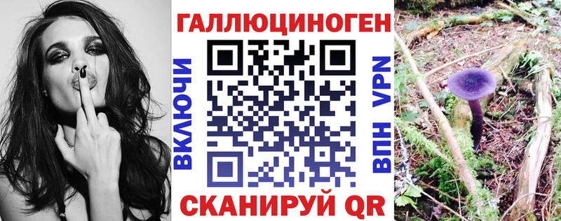 купить  цена  Первомайск  Псилоцибиновые грибы Psilocybine cubensis 
